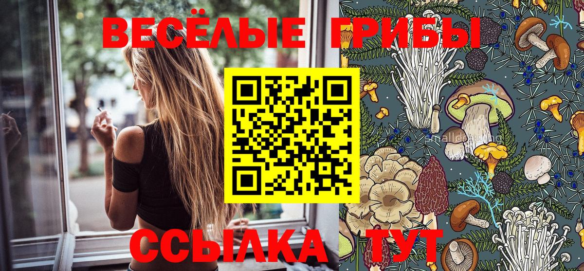 Псилоцибиновые грибы GOLDEN TEACHER  Вход с VPN  Мурино 
